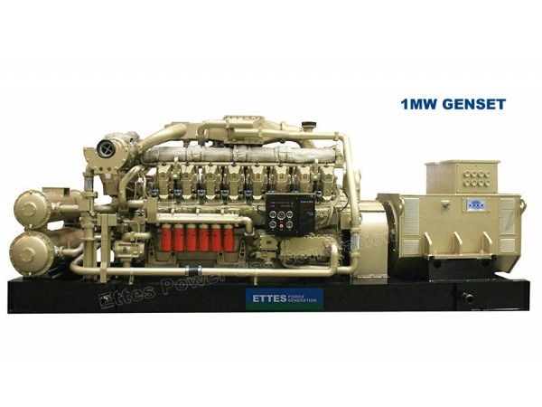 Natural Gas Generator 117