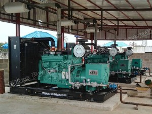 Ettes Power 300kw 250kw Cummins Gas Engine Generator