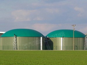 Ettespower-Natural-Gas-Biogas-Engines-Generators-Power-Plant-Ettes-Power