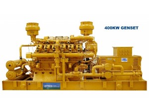 Natural Gas Generator-2