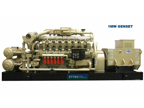 CNPC Gas Generator Set