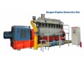 500kW Biomass Engine